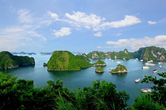 Halong bay