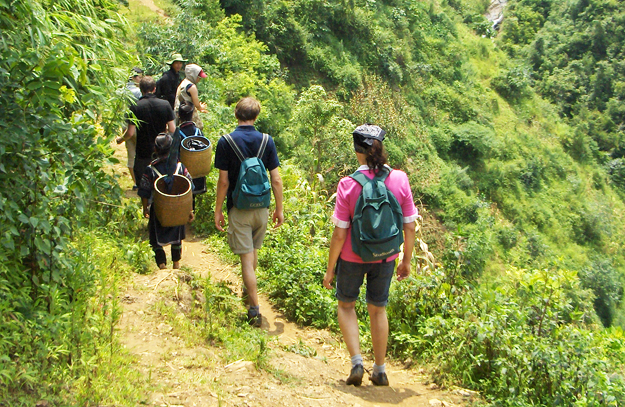 Sapa trekking